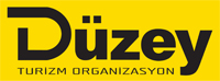 Düzey_logo_200