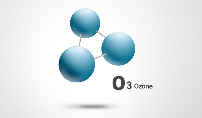 условия работы ozon